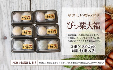 和菓子 びっくり大福 2個入り×6パック [春夏秋冬いっつもや 宮崎県 美郷町 31ab0069]