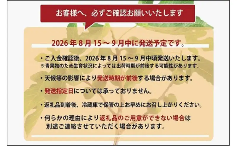 ＜2026年8月以降発送＞とよみつひめ ４パック約1200gセット（福岡市） | フルーツ 果物 くだもの 食品 人気 おすすめ 送料無料