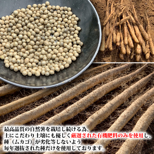 【R8年12月上旬からの発送】　自然薯 2kg 丁子屋が選んだ 自然薯