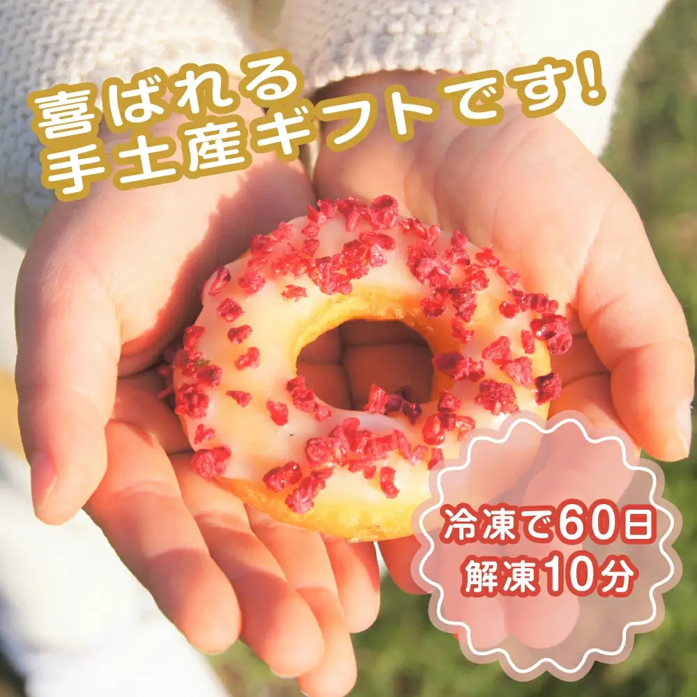 【パーティやストックおやつに】DONADONA　カラフルドーナツおまかせ9種18個セット　【12203-0271】