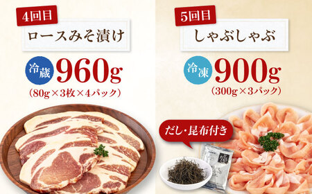 【全5回定期便】 平田牧場 バラエティ定期便 3~4人前 豚肉 ロース バラ肉 ステーキ [AJAP127]