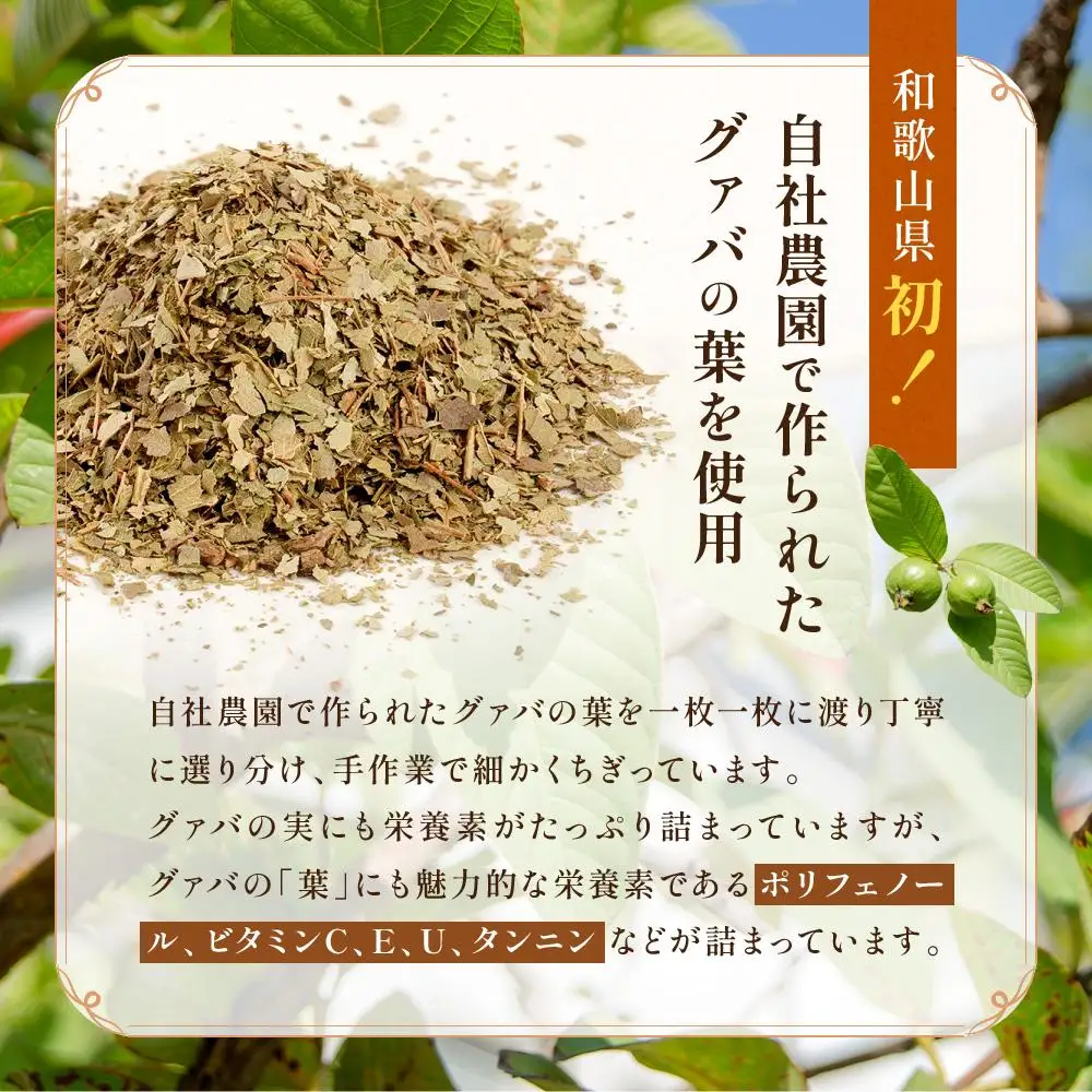 和歌山県産 グァバ茶 ティーバッグ タイプ 国産 約2g × 22包入