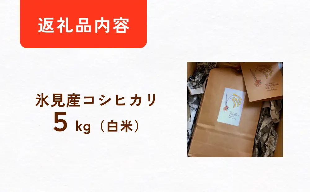 米 令和7年産 富山県氷見産 コシヒカリ 白米 5kg