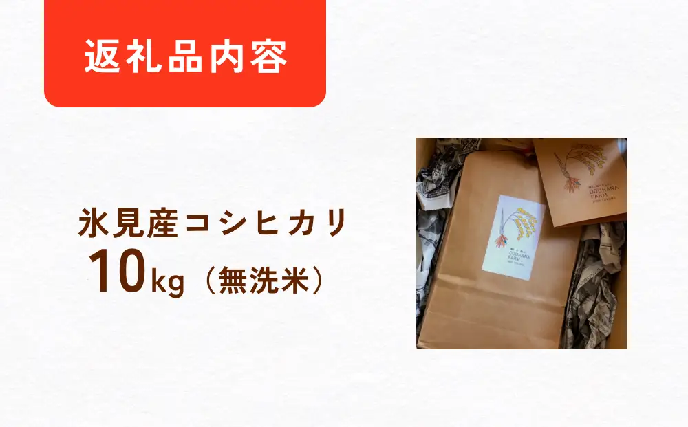 〈無洗米〉 米 令和7年産 富山県氷見産 コシヒカリ 10kg