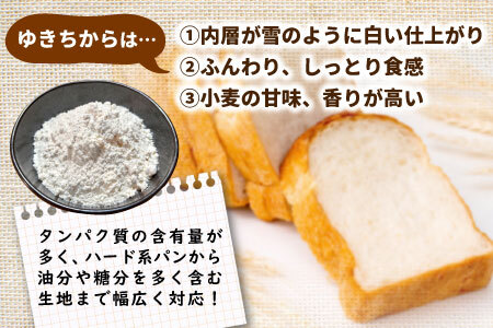 強力小麦粉 ゆきちから 3kg（1kg×3袋） 岐阜県 東白川村産 小麦 国産 お取り寄せ 強力粉 小麦粉