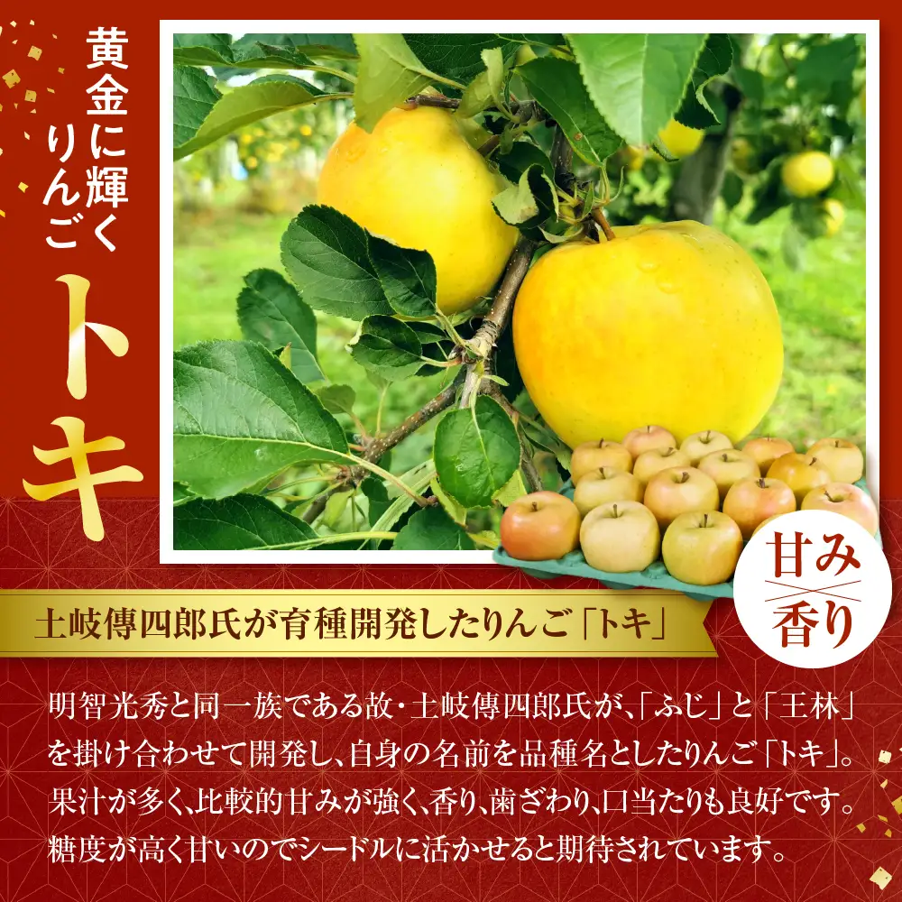 シードル　辛口 750ml×1本 （7％）「ときシードル（光秀連歌通説版）掛け紐：エンジ」 トキ で作ったシードル りんごのお酒 青森県産りんご 酒 アルコール トキりんごのお酒