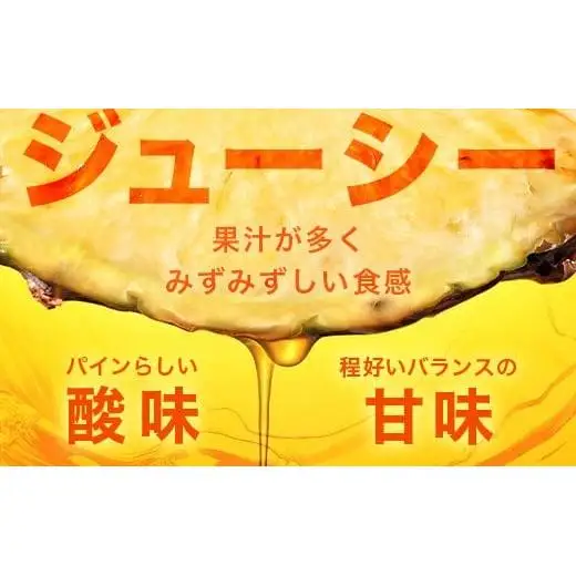 パイナップル 【先行予約】ジュワリーパイン1ｋｇ（1～2玉）　KN-1