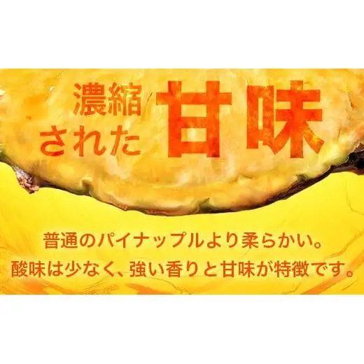 【先行予約】ポコットパイン1ｋｇ（1～2玉）　KN-3