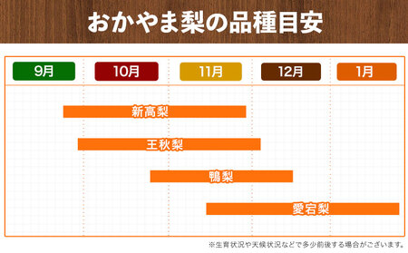 梨 秀品 旬の梨 約2.5kg