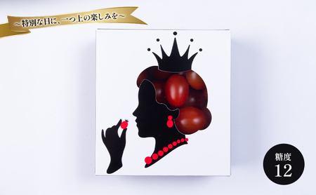 フルーツトマトQUEEN 500g(250g×2箱) トマト 国産 野菜 糖度12 濃厚 千葉市 千葉県