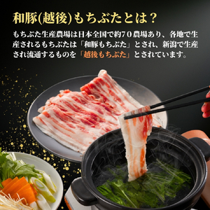 豚肉 しゃぶしゃぶ 豚肩ロース 1kg(500g×2パック) 越後もちぶた | 豚肉 ロース肉 新潟県 弥彦村
