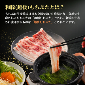 豚肉 越後もちぶた こま切れ肉 1.5kg(300g×5パック) | こま切れ肉 豚肉 新潟県 弥彦村