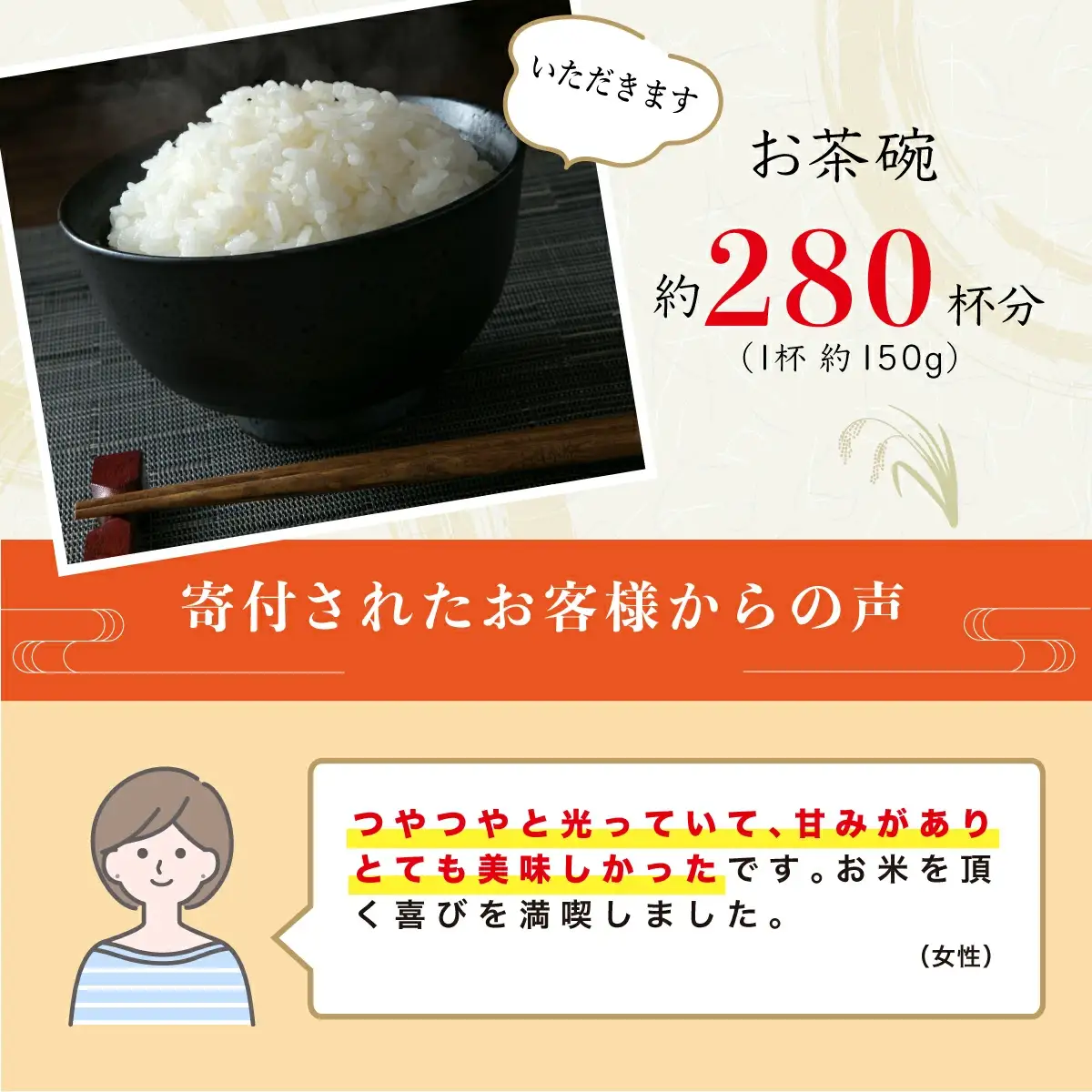 ＜2026年8月発送＞令和8年産コシヒカリ 20kg【S248】
