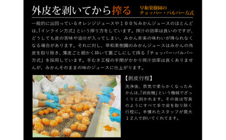 【早和果樹園】飲むみかん12本入（720ml）（B346-2）