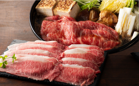 熊本黒毛和牛「藤彩牛」厳選3種の食べ比べセット計700g|フジチク