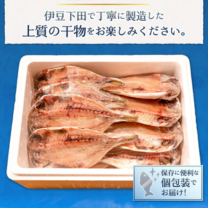＜下田湊マリンプロダクツ＞＜規格品　下田加工＞【特上】真あじ干物 　12枚入