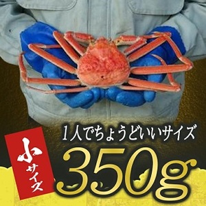 ボイル 本ズワイガニ 1匹 350g程度 遊佐沖 10月中旬～12月下旬頃お届け 冷蔵便 ※着日指定・離島（沖縄県を含む）発送不可 1人前 東北 山形県 遊佐町 庄内地方 日本海 カニ 蟹 かに 海産物 シーフード 海鮮 新鮮 まるごと ボイル 焼き 期間限定 ゆで 茹で [850]