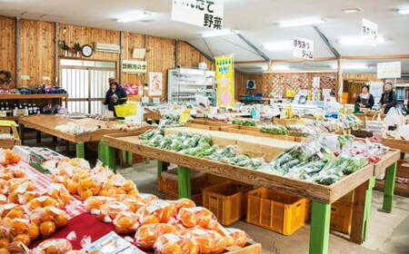 【地元民が愛する幻のすいか】長浦すいか（M玉以上 ／ 5-6kg） 【2026年6月上旬～6月下旬迄発送予定】 ／ 長浦スイカ すいか スイカ 西瓜 果物 フルーツ 季節の果物 長崎県産 長崎市産 長崎県 長崎市 常温