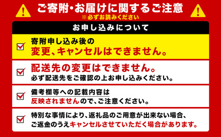 【定期便10ヶ月】キリン一番搾り生ビール 350ml 2ケース（48本）＜北海道千歳工場産＞