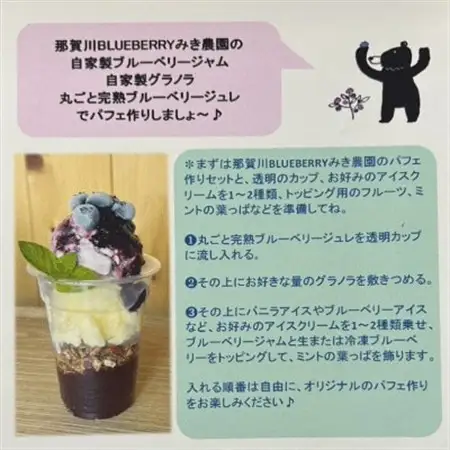 みき農園のとびきり!ブルーベリーパフェ体験セット_惣菜・加工品   _【1588061】