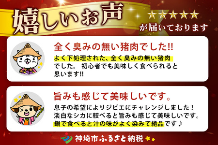 脊振ジビエ 鍋物・カレー用イノシシ肉 約1kg (H059120)