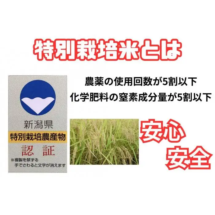 【令和8年産・新米予約】安心安全の新潟県南魚沼産特別栽培米コシヒカリ　2kg　新潟県認証【銘柄米 ブランド米 精米 こしひかり コシヒカリ 魚沼産 新潟米】【2026年10月上旬より1ヶ月以内に順次発送予定】