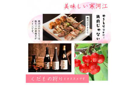 【100%天然かけ流しの湯!】山形県寒河江温泉利用助成券 3,000円分（3,000円×1枚）　010-J-OK001