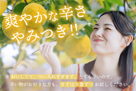 脊振ジビエ 詰め合わせ イノシシ肉約600g&柚子胡椒2本セット (H059121)
