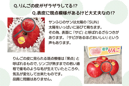 高橋りんご園　『サンふじ』3kg(8～10玉)　フルーツキャップ付き　贈答用にもオススメ！/さんふじ サンフジ サンふじ 送料無料 矢巾町産 りんご 予約 蜜 しゃきしゃき シャキシャキ 甘い 酸味 贈答 ギフト プレゼント リンゴ 林檎 果物 くだもの フルーツ 岩手県 矢巾町