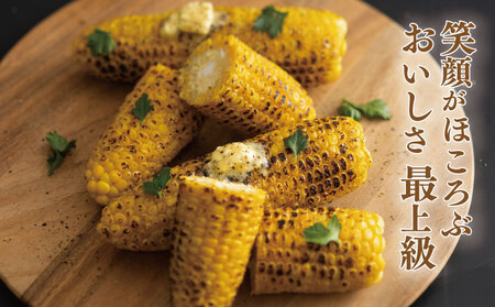 とうもろこし サニーショコラライラ 5kg 先行予約 【 とうもろこし 】 
