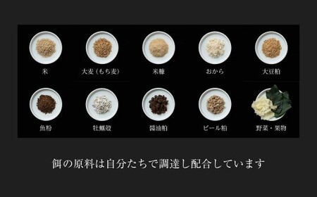 平飼い有精卵30個｜濃厚卵・卵かけご飯・放し飼い（西粟倉村）【配送不可地域：沖縄・離島】t-SS-AnDA