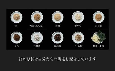 平飼い有精卵30個【全6回定期便】｜毎月届く卵・放し飼い（西粟倉村）【配送不可地域：沖縄・離島】t-SS-CnDA