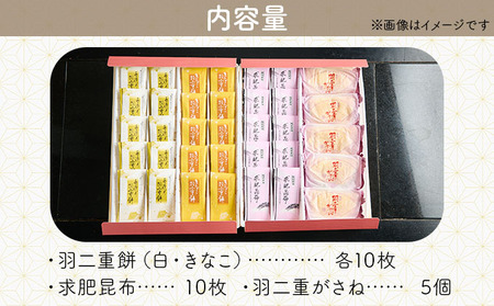 福井の羽二重銘菓詰合せセット 4種（羽二重餅2種（白・きなこ）・羽二重餅がさね・求肥昆布） [023-a023]