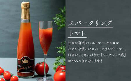 【6回定期便】北海道のあじわい便り トマトづくし 720ml×4本 300ml×3本 計7本×6回 合計42本 スパークリングトマト ジュース ミニトマトジュース 飲料 常温 北海道 浦臼町