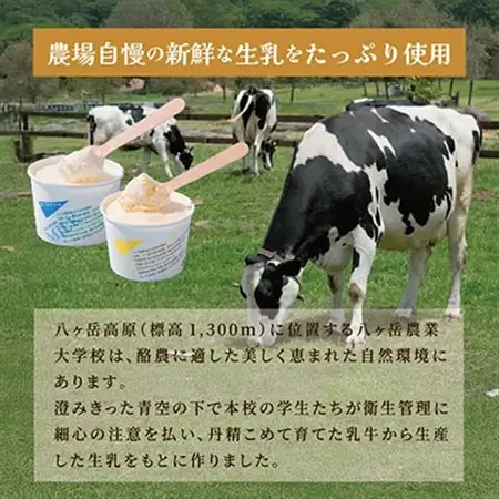 八ヶ岳農場 バニラ＆生ソフトクリームアイス 味比べセット　各3個・2種類(合計6個)_菓子・スイーツ アイス・ジェラート  _【配送不可地域：離島】【1600483】