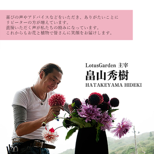 SL0306　【母の日2026】「感謝のカーネーションとおすすめのお花のアレンジ」