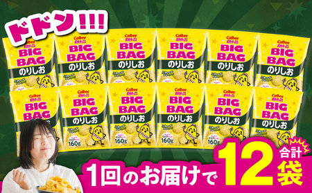 カルビー ポテトチップス BIGBAG【のりしお】12袋 K194-002_08 菓子