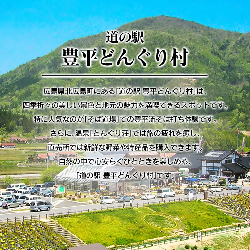 どんぐり村 そば味噌と豊平そばのセット　道の駅とよひら どんぐり荘_DO002_006