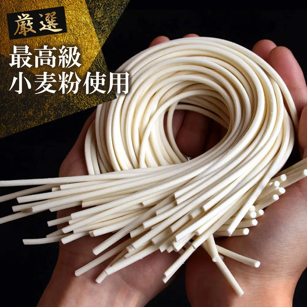 ふっくらモチモチ神埼生うどん 10袋入(H014145)