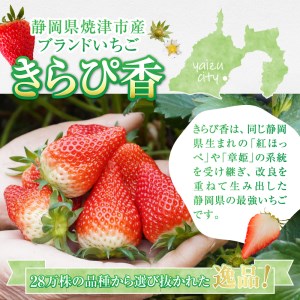 a20-267　いちご 静岡 限定 「 きらぴ香 」計約2.2Kg 8パック