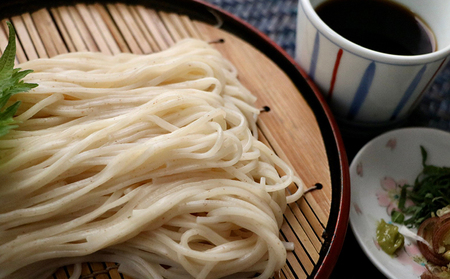 武州羽生名産 齋徳うどん 10人前 明治六年創業 花袋めん プレミアムうどん