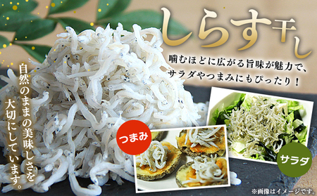 ＜漁師さん自慢のしらす干し 500g(100g×5パック)＞ シラス 魚介類 さかな 海産物 海鮮 海の幸 小分け 国産 ご飯のお供 丼 おつまみ 晩酌 おかず おやつ 特産品 産地直送 濱田水産 愛媛県 西予市 【冷凍】『最短10営業日以内に順次発送予定』AHS0009