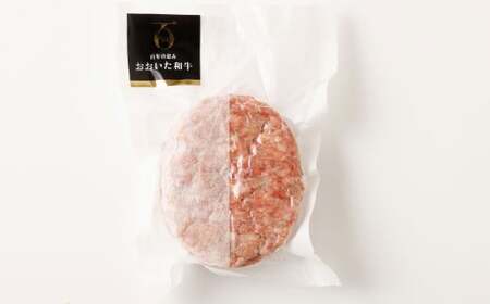 【黒毛和牛】おおいた和牛ハンバーグ 計約1.02kg（約170g×6個）