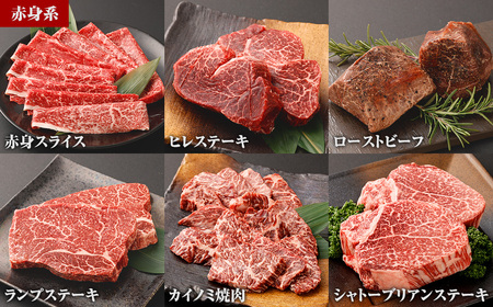 【6カ月定期便】毎月お届け！ おおいた和牛を贅沢に味わい尽くす半年間定期便／赤身系 計約2.18kg