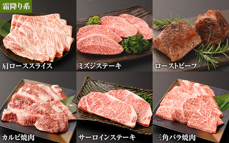 【6カ月定期便】毎月お届け！ おおいた和牛を贅沢に味わい尽くす半年間定期便／霜降り系 計約2.14kg