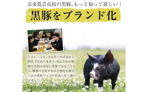 レンジでチン！金の桜黒豚 6食分「黒豚丼（180g×6袋）」【00-057-30】