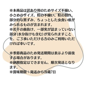 ご家庭用 細物 ホワイトコーン 約3.5kg とうもろこし 野菜