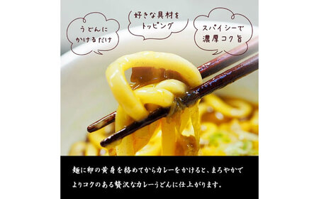 サガミのカレーうどんの素（中辛）10食入 / 具材入り レトルト カレー うどん / 稲沢市 / テンポイント株式会社 [BMAE001]