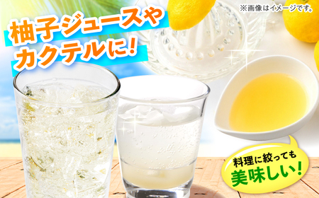 【訳あり】【2026年先行予約】種なし柚子1.7kg ＜2026年11月中旬より順次発送＞[APAQ003] ゆず