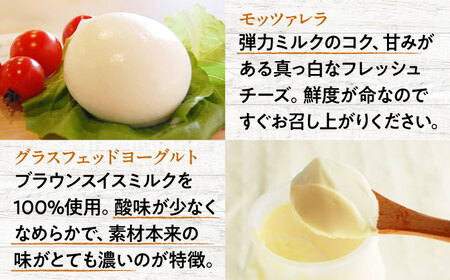 チーズ＆ヨーグルトセット[APAV003] チーズ